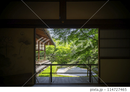 京都 永観堂(禅林寺) 鶴寿台から見る青紅葉の庭園 京都 永観堂(禅林寺) 鶴寿台から見る青紅葉の庭園 114727465