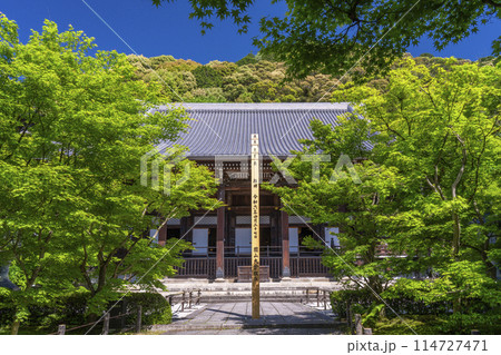 京都 永観堂 新緑に包まれた御影堂(大殿) 京都 永観堂 新緑に包まれた御影堂(大殿) 114727471