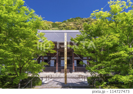 京都 永観堂 新緑に包まれた御影堂(大殿) 京都 永観堂 新緑に包まれた御影堂(大殿) 114727473