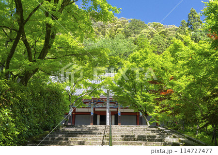 京都 永観堂 新緑に包まれた阿弥陀堂(本堂) 京都 永観堂 新緑に包まれた阿弥陀堂(本堂) 114727477