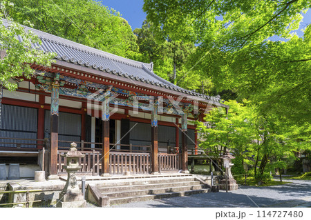京都 永観堂 新緑に包まれた阿弥陀堂(本堂) 京都 永観堂 新緑に包まれた阿弥陀堂(本堂) 114727480