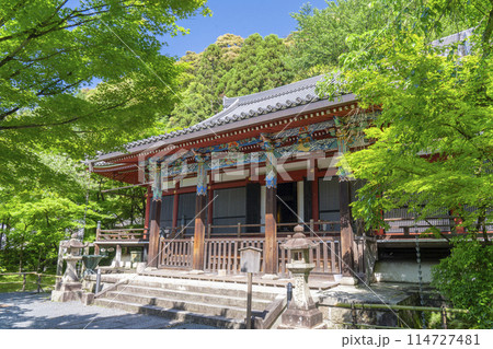 京都　永観堂　 新緑に包まれた阿弥陀堂（本堂） 114727481