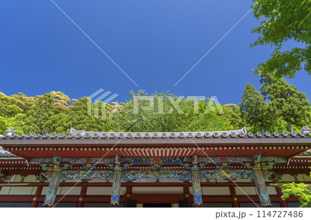京都 永観堂  新緑に包まれた阿弥陀堂(本堂) 京都 永観堂  新緑に包まれた阿弥陀堂(本堂) 114727486