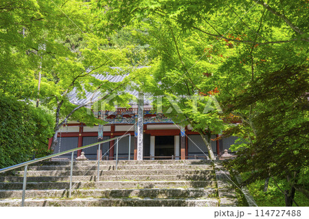 京都　永観堂　 新緑に包まれた阿弥陀堂（本堂） 114727488