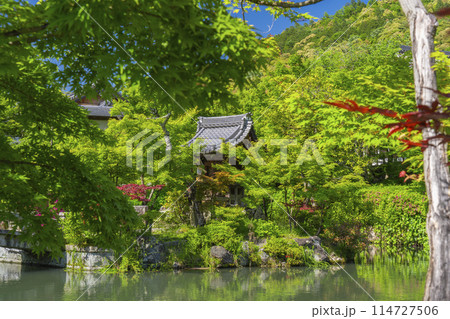 京都　永観堂　 新緑に包まれた弁天社 114727506