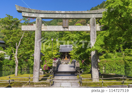 京都　永観堂　 新緑に包まれた弁天社 114727519
