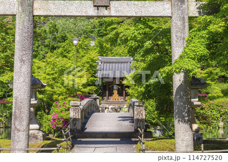 京都　永観堂　 新緑に包まれた弁天社 114727520