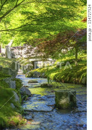 京都　永観堂　 新緑に包まれた楓橋からの眺め 114727524