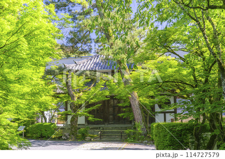 京都　永観堂　 新緑に包まれた画仙堂 114727579