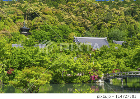 京都　永観堂　 新緑に包まれた弁天社 114727583
