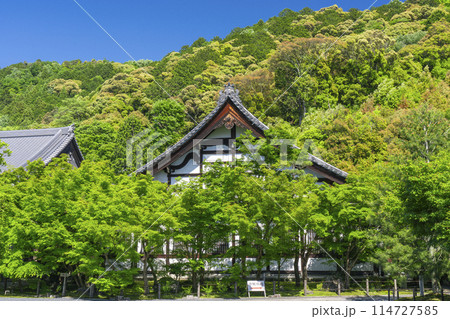 京都　永観堂　 新緑に包まれた鶴寿台 114727585