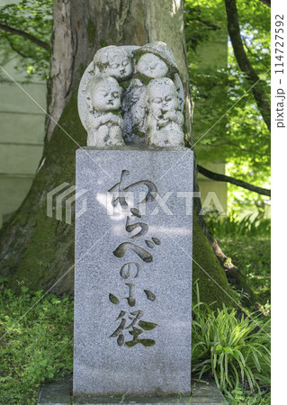 京都　 新緑に包まれたわらべの小径 114727592