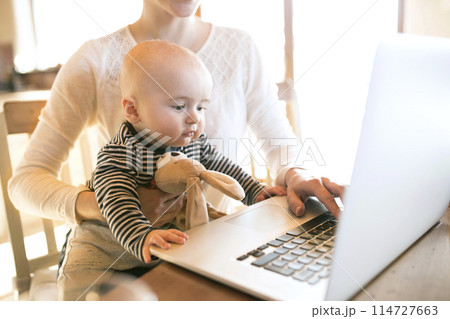 Mother with small baby working from homeoffice, typing on laptop. Mom paying bills online, holding small baby. 114727663