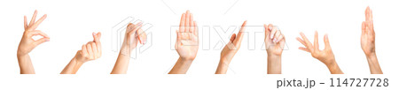 Set of woman hands showing different gestures, pointing and showing signs isolated on white background 114727728