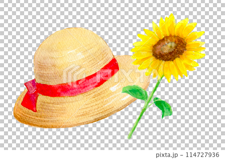 Cute straw hat and sunflower watercolor illustration 114727936