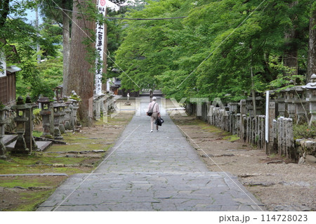 初夏の谷汲山華厳寺・56（岐阜県揖斐郡揖斐川町谷汲：西国三十三番観音霊場） 114728023