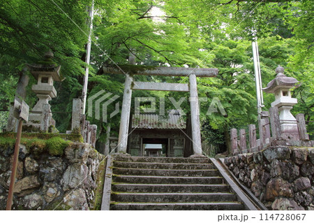 初夏の谷汲山華厳寺・76(岐阜県揖斐郡揖斐川町谷汲:西国三十三番観音霊場) 初夏の谷汲山華厳寺・76(岐阜県揖斐郡揖斐川町谷汲:西国三十三番観音霊場) 114728067