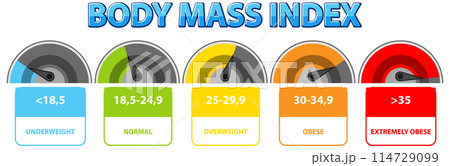 Body Mass Index Categories 114729099