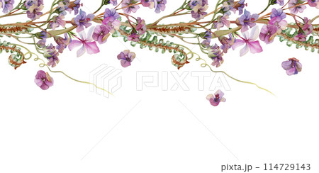 Hand drawn watercolor illustration shabby boho botanical flowers. Bergenia lungwort angelonia heliotrope, sea lavender. Forest fern shoot. Seamless banner isolated on white. Design wedding, love cards 114729143