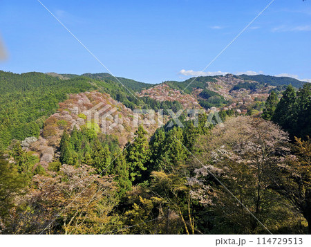 吉野 一目千本桜 奈良県 吉野 一目千本桜 奈良県 114729513