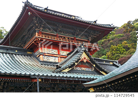 静岡浅間神社の大拝殿【静岡県静岡市】 114729545