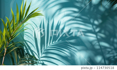 Blurred shadow from palm leaves on the light blue wall. Minimal abstract background for product presentation. 114730518