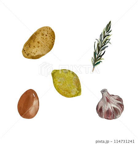 Potato rosemary lemon egg garlic sketch watercolor Potato rosemary lemon egg garlic sketch watercolor 114731241