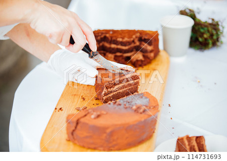 チョコレートケーキ　取りチョコレートケーキ　取り分け分け 114731693