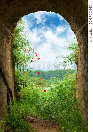 End of the tunnel 114732440