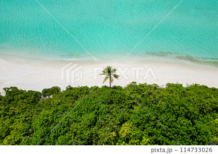 stunning blue ocean and sandy white island maldives top drone aeral view deserted hidden Maldives beach copyspace for text 114733026
