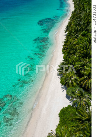 stunning blue ocean and sandy white island maldives top drone aeral view deserted hidden Maldives beach copyspace for text stunning blue ocean and sandy white island maldives top drone aeral view deserted hidden Maldives beach copyspace for text 114733033