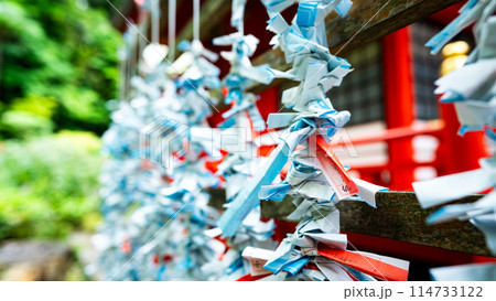 江島神社 おみくじを結ぶ　〜日本三大弁財天〜 114733122