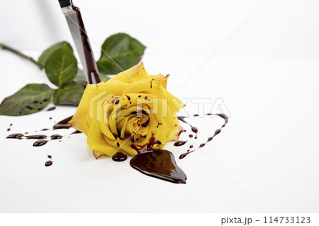 The beautiful yellow rose with knife on bloody background. 114733123