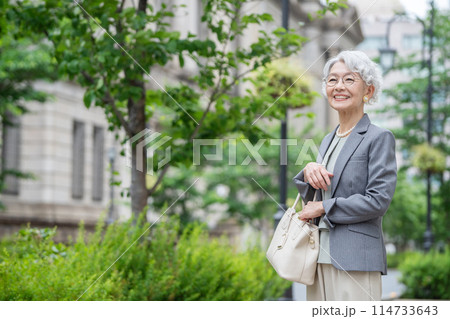 グレイヘアのシニア女性 グレイヘアのシニア女性 114733643