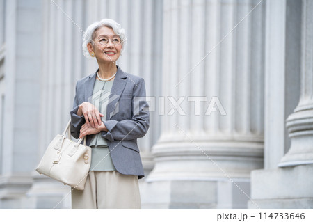 グレイヘアのシニア女性 グレイヘアのシニア女性 114733646