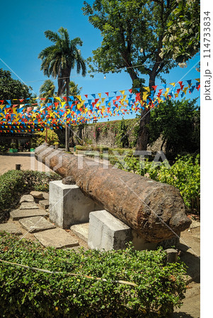 Cannon at Fort San Pedro in Cebu, Philippines Cannon at Fort San Pedro in Cebu, Philippines 114733834