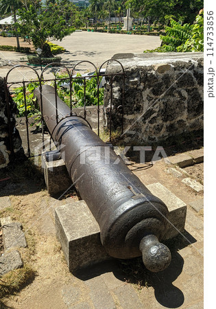 Cannon at Fort San Pedro in Cebu, Philippines Cannon at Fort San Pedro in Cebu, Philippines 114733856