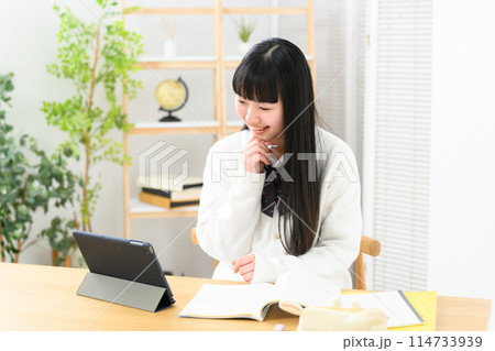 勉強をする女子高生　悩む 114733939
