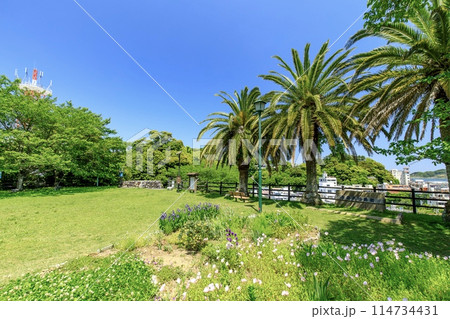 鳥羽市、城山公園（鳥羽城跡）の風景 114734431