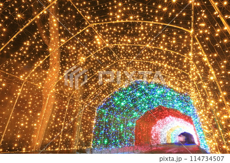 小岩井まきば園イルミネーション2024 小岩井まきば園イルミネーション2024 114734507