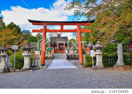 京都　吉田神社　斎場所　大元宮（京都市左京区） 114734895