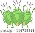 カメムシが大量発生しているイラスト　ベクター 114735311