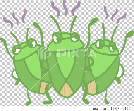 Illustration of a mass outbreak of stink bugs - Vector 114735311