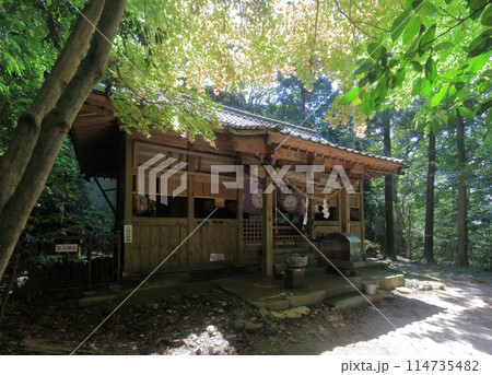 熊野磨崖仏からさらに上、熊野神社社殿 114735482