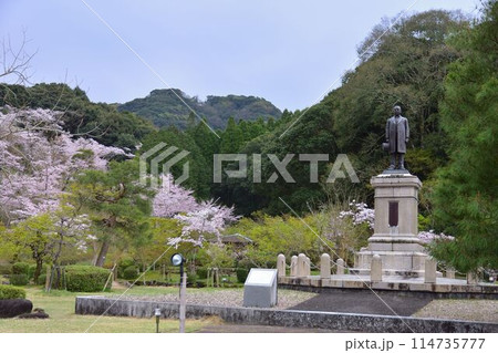 西渓公園の桜 114735777