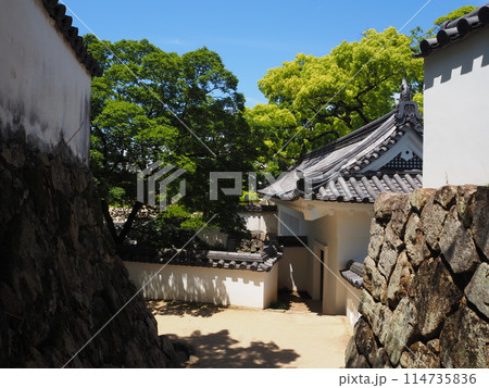夏の岡山城 夏の岡山城 114735836