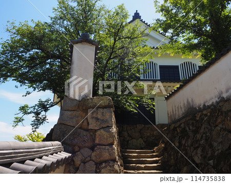 夏の岡山城 夏の岡山城 114735838