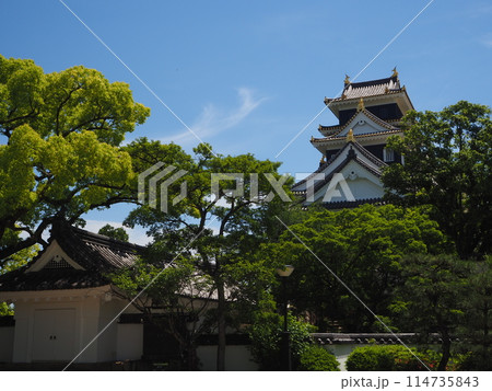 夏の岡山城 夏の岡山城 114735843