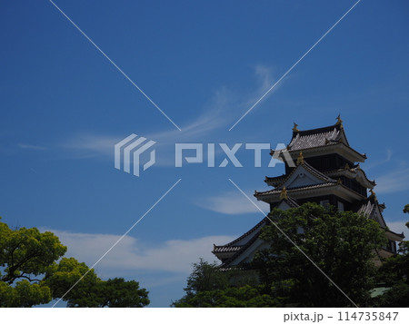 夏の岡山城 114735847