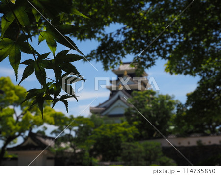 夏の岡山城 夏の岡山城 114735850